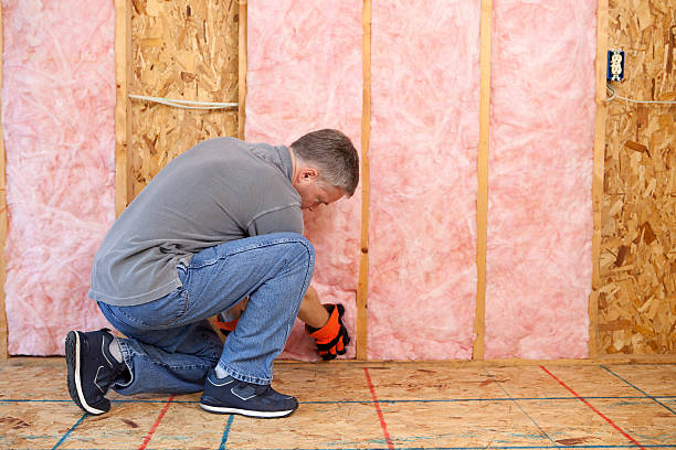 Best Garage Insulation  in Chamberlayne, VA